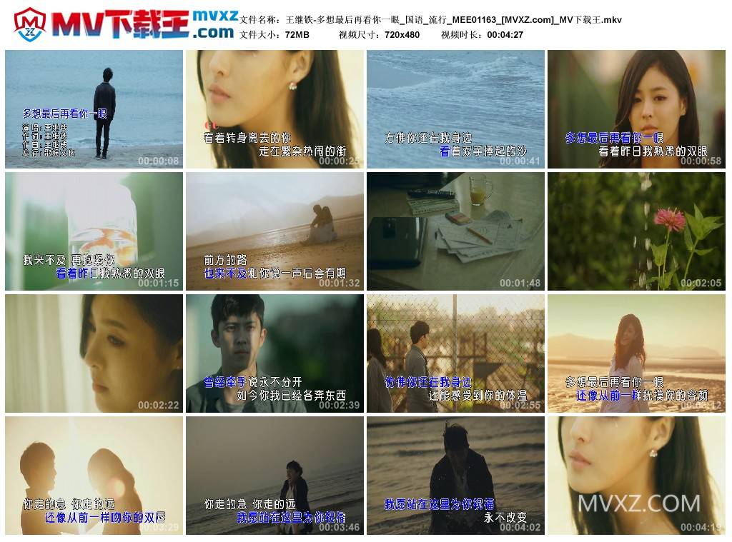 王继铁-多想最后再看你一眼_国语_流行_MEE01163